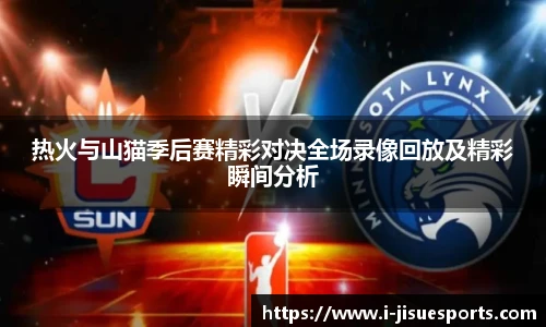 热火与山猫季后赛精彩对决全场录像回放及精彩瞬间分析